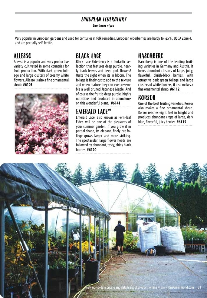 One Green World flyer page 23