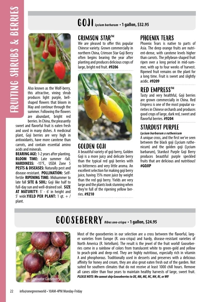 One Green World flyer page 24
