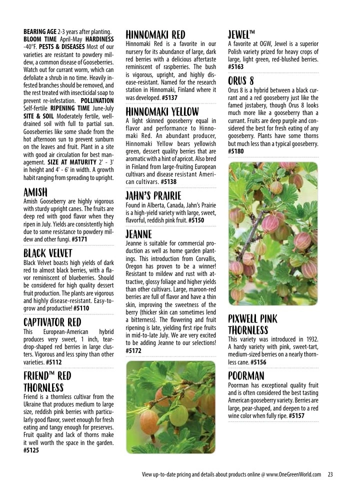 One Green World flyer page 25