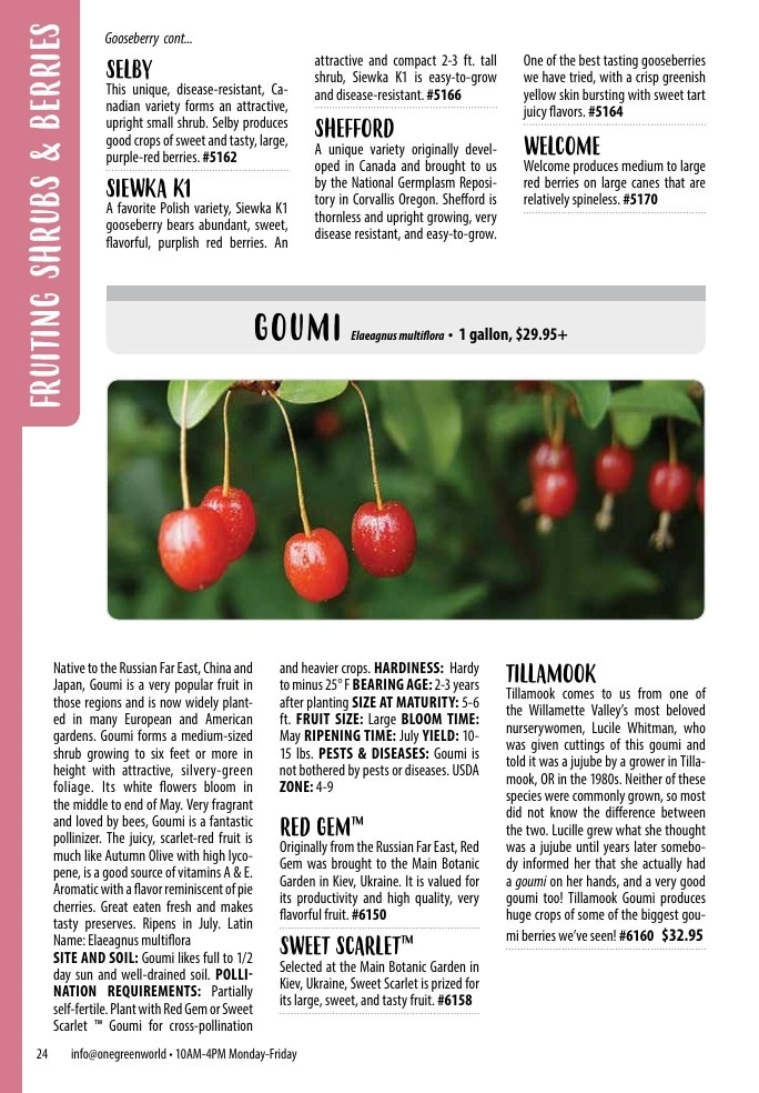 One Green World flyer page 26