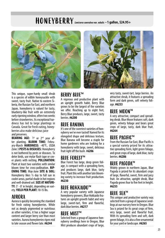 One Green World flyer page 27