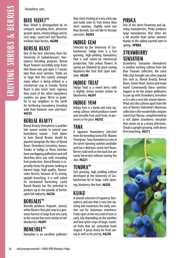 One Green World flyer page 28