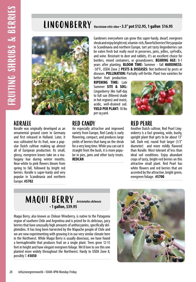 One Green World flyer page 30