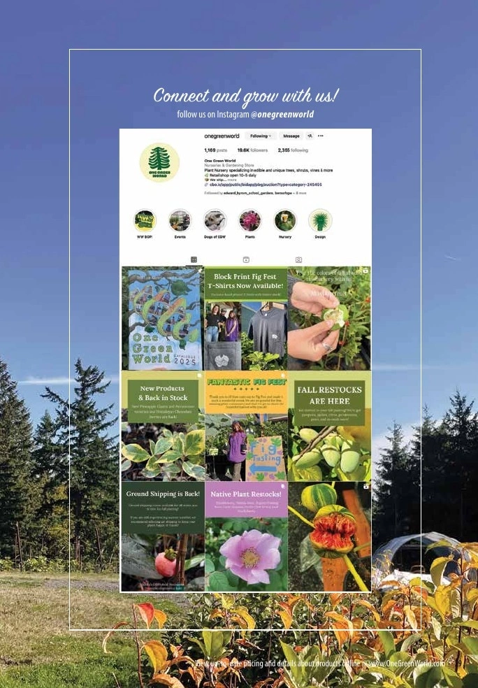 One Green World flyer page 31