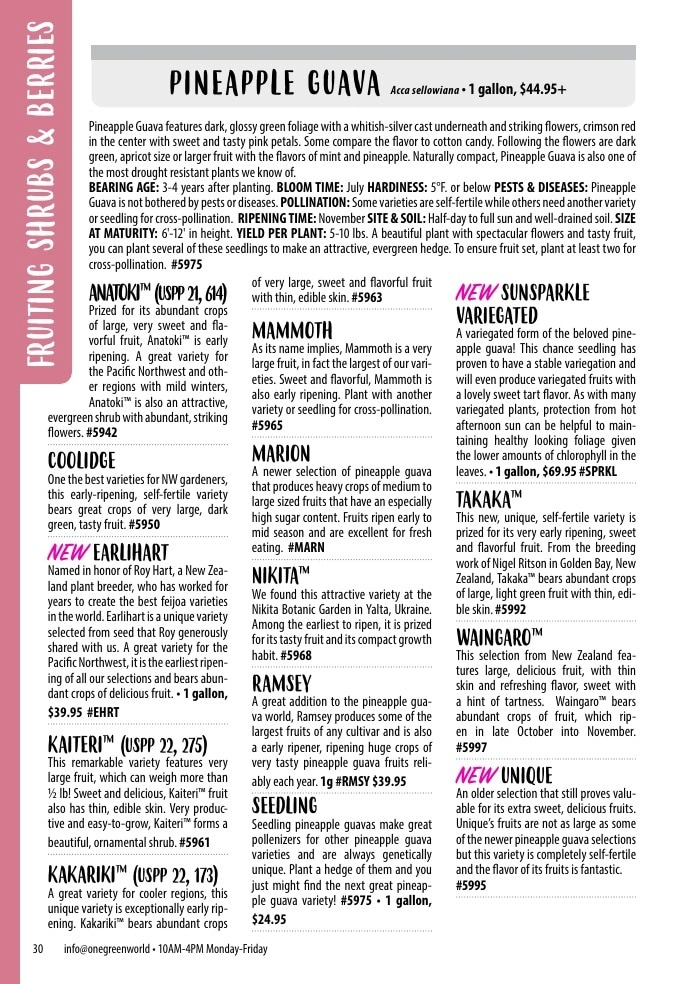 One Green World flyer page 32