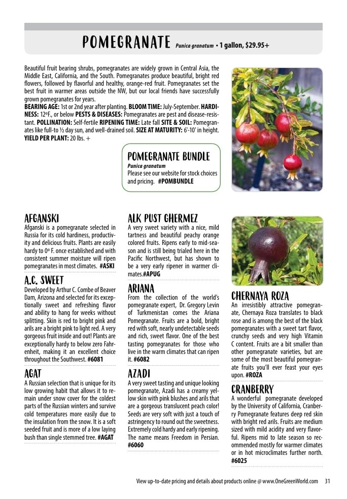 One Green World flyer page 33