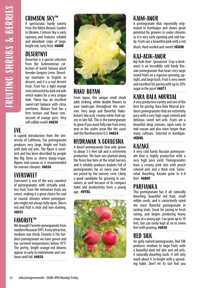 One Green World flyer page 34