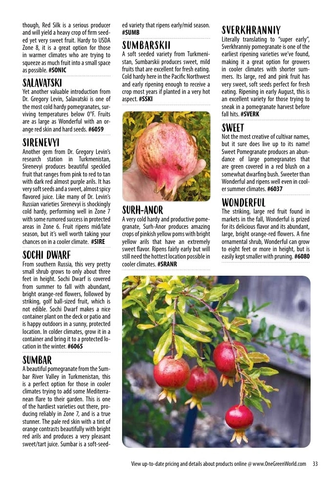 One Green World flyer page 35