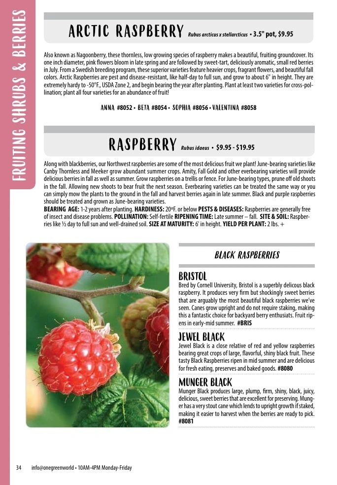 One Green World flyer page 36