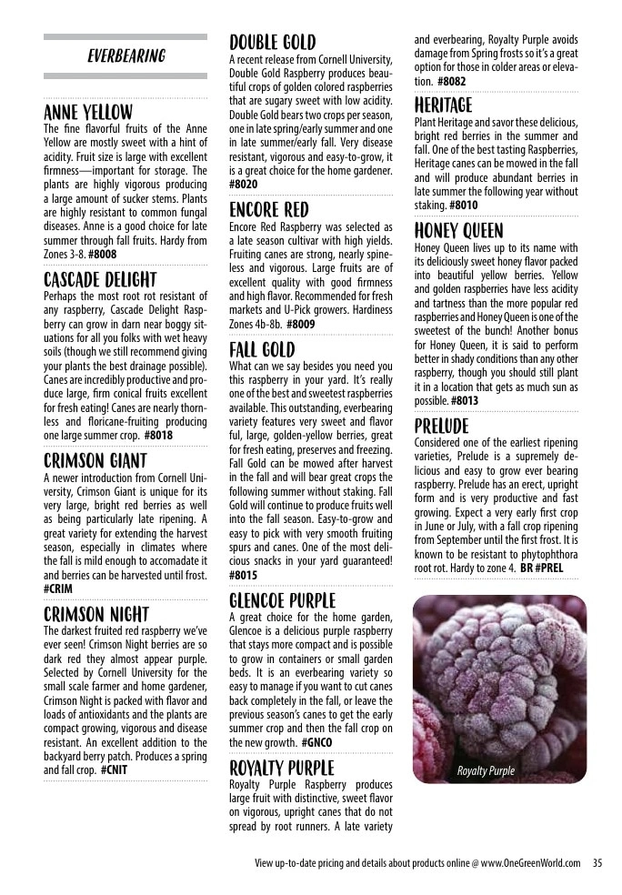 One Green World flyer page 37