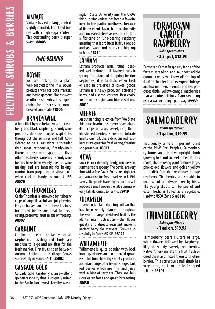 One Green World flyer page 38
