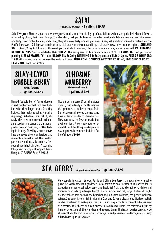 One Green World flyer page 39