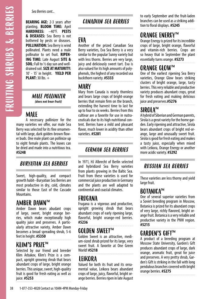 One Green World flyer page 40