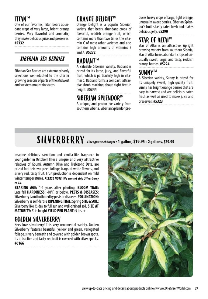 One Green World flyer page 41