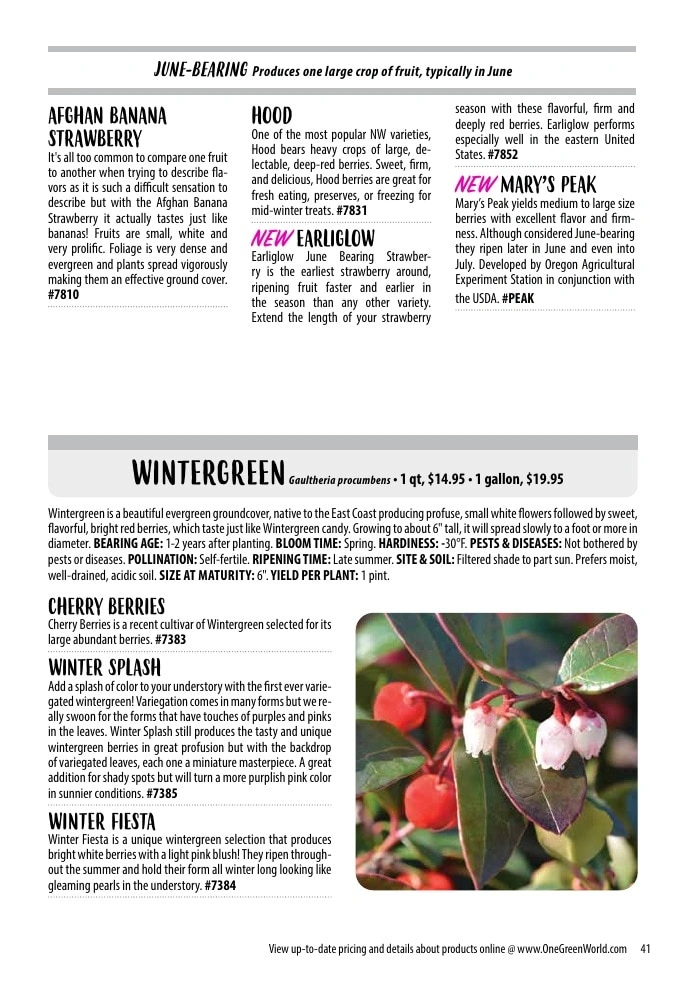 One Green World flyer page 43