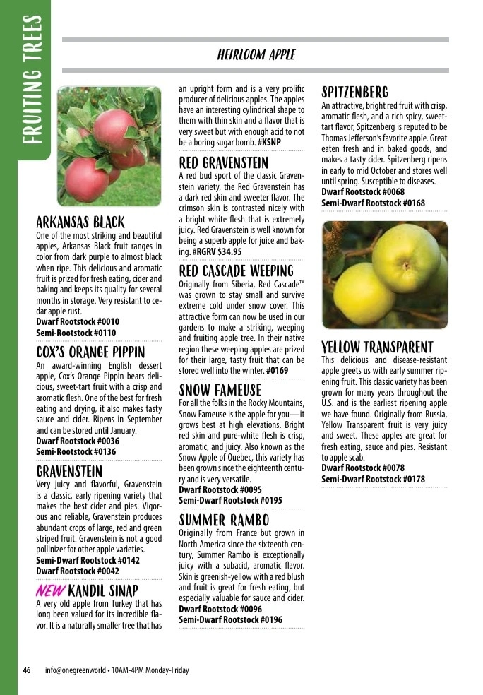 One Green World flyer page 48