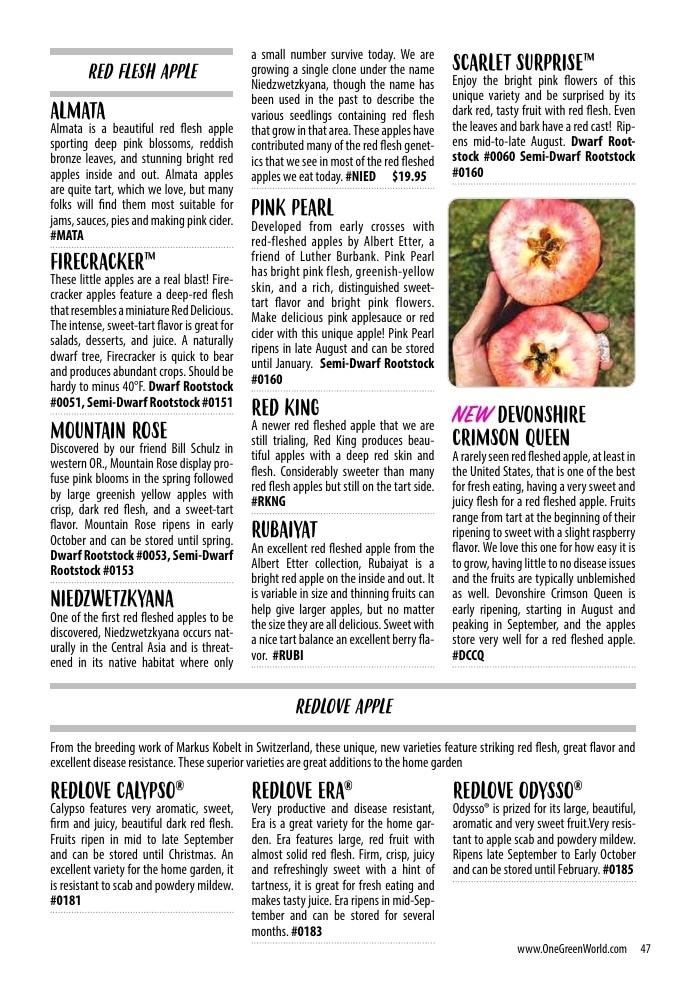 One Green World flyer page 49