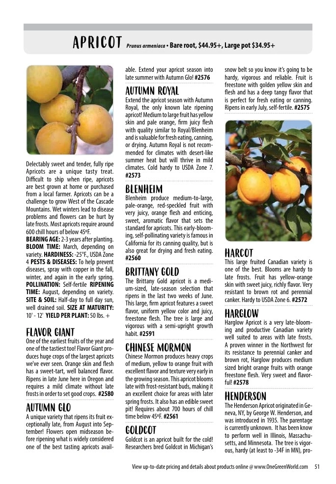 One Green World flyer page 53