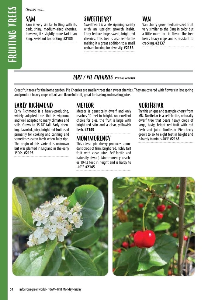 One Green World flyer page 56