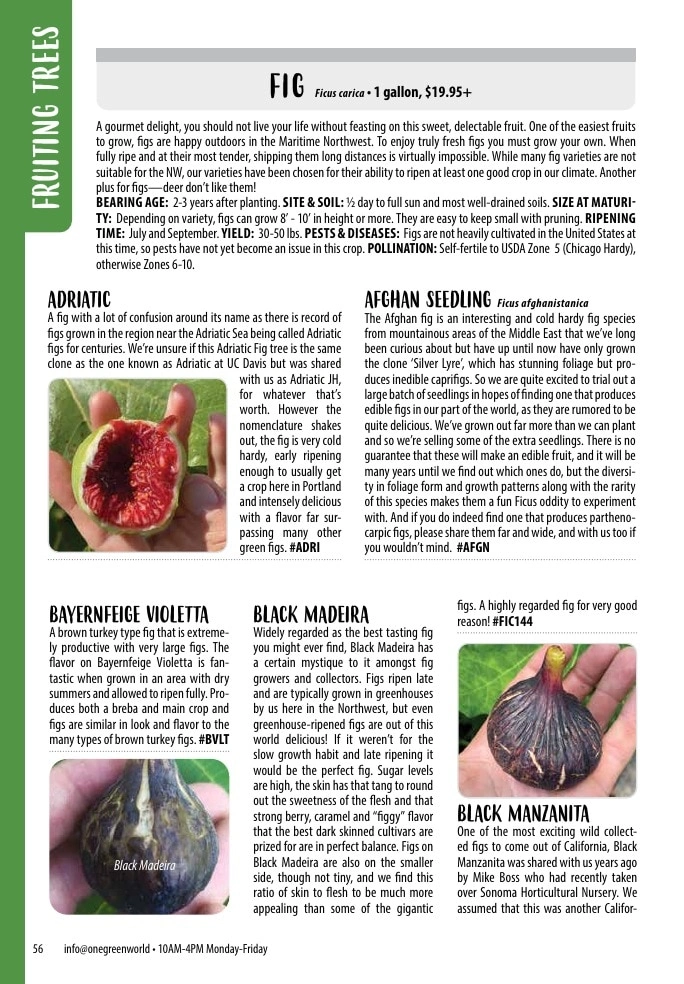 One Green World flyer page 58