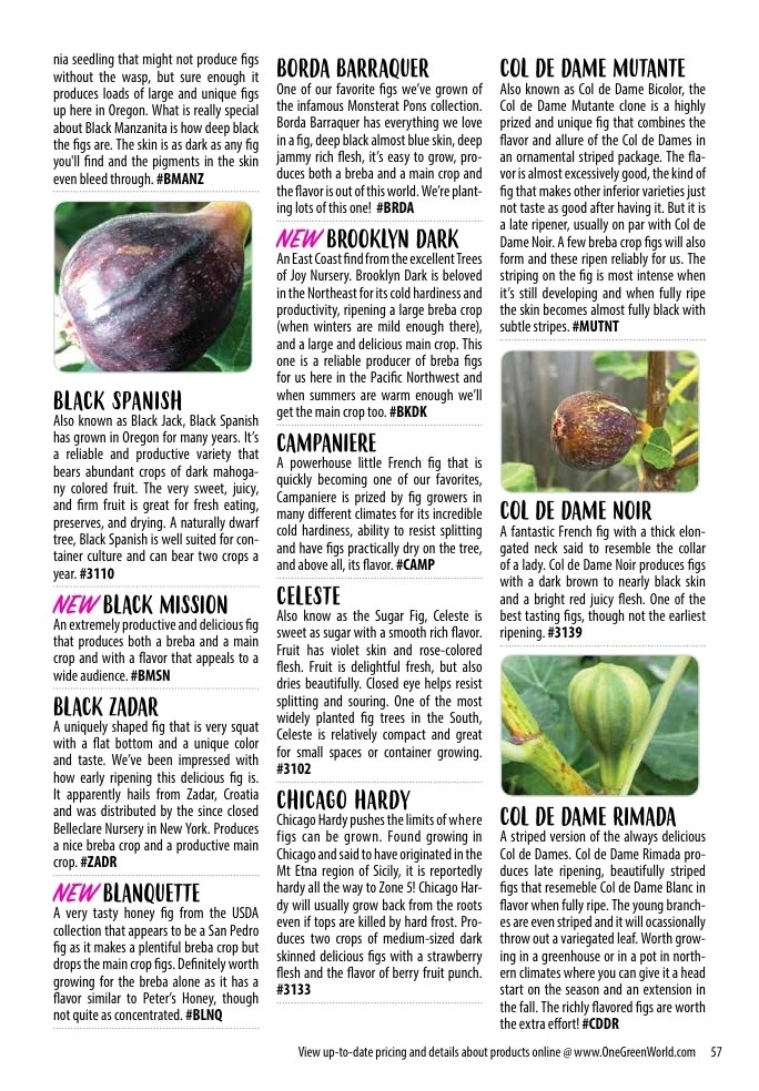 One Green World flyer page 59