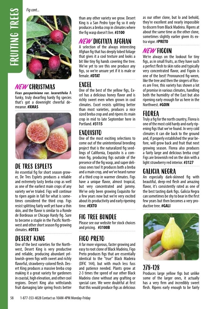One Green World flyer page 60