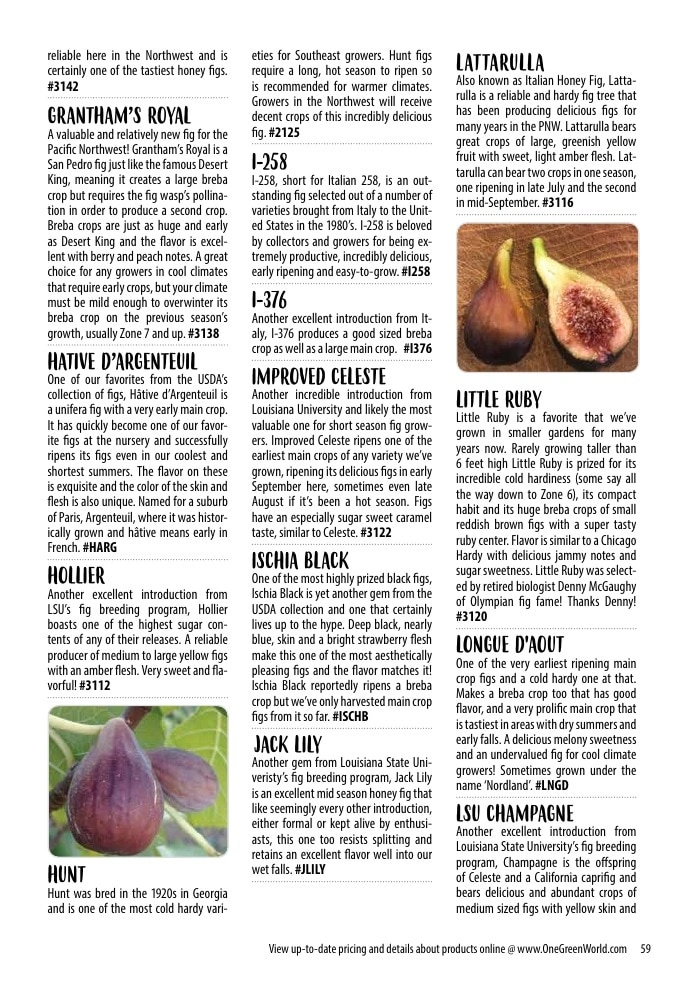 One Green World flyer page 61