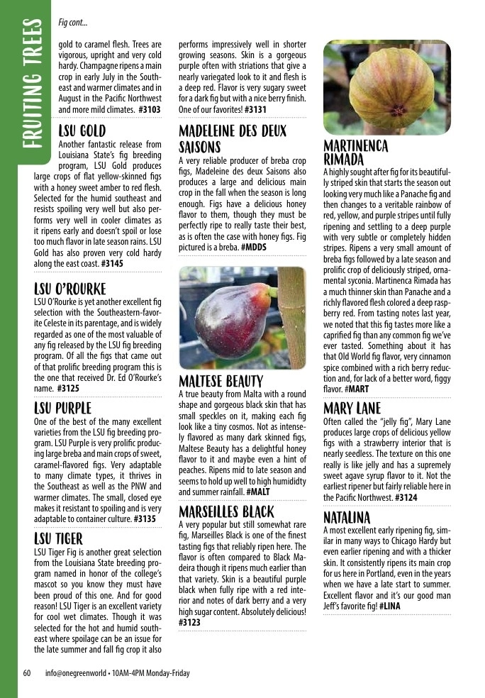 One Green World flyer page 62