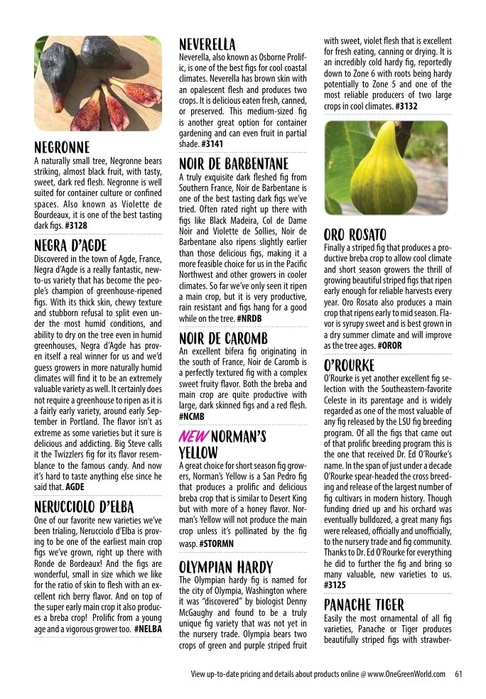 One Green World flyer page 63