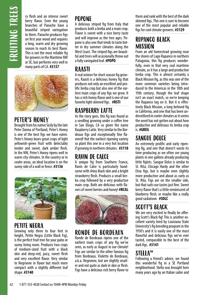 One Green World flyer page 64