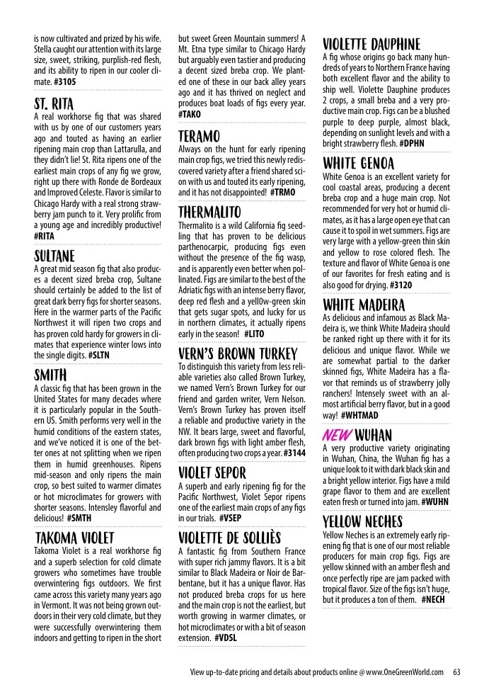 One Green World flyer page 65