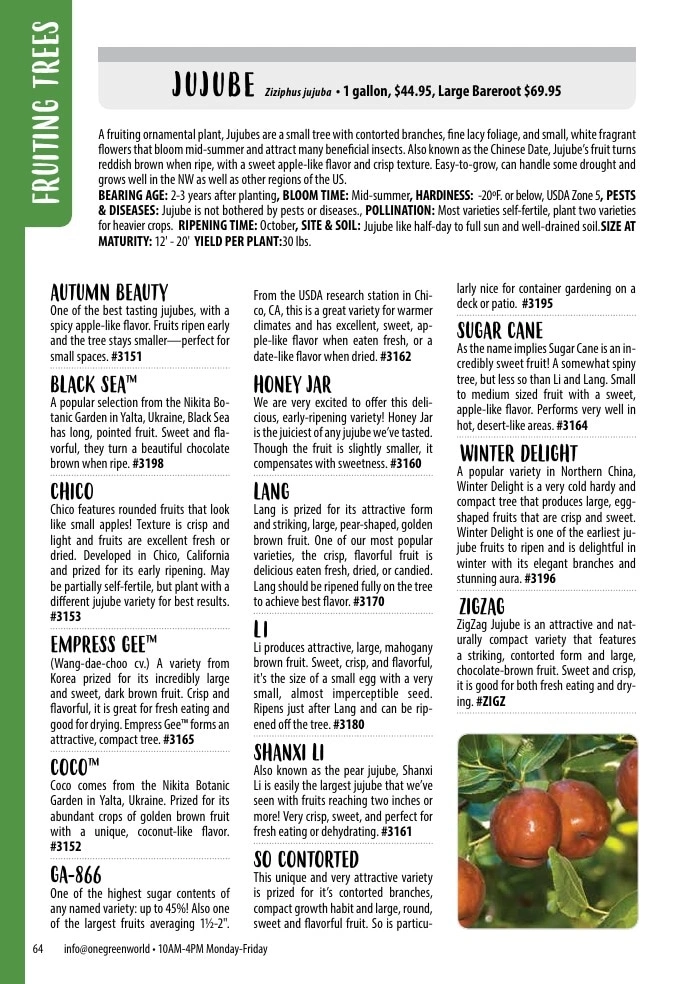 One Green World flyer page 66