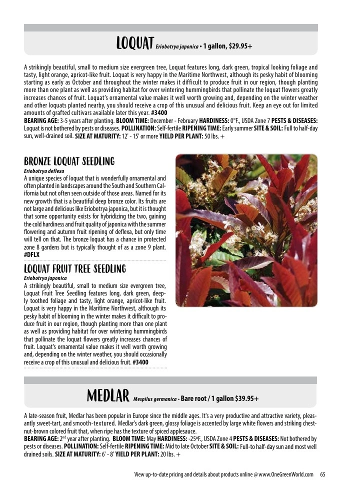 One Green World flyer page 67