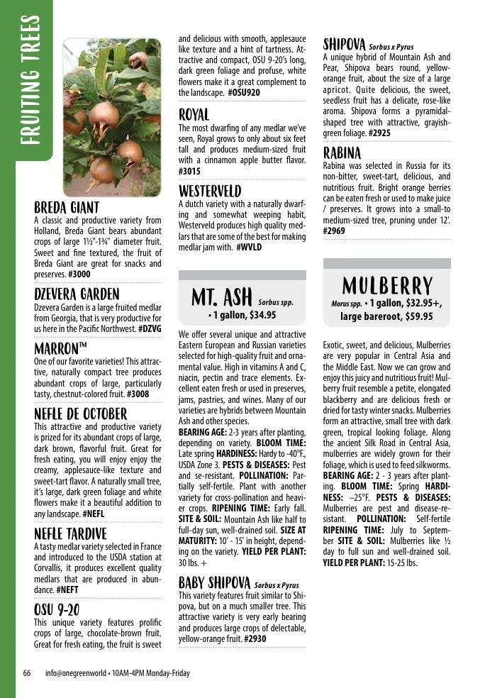 One Green World flyer page 68