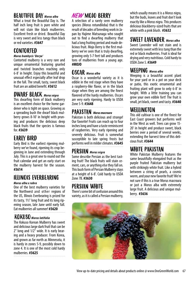 One Green World flyer page 69