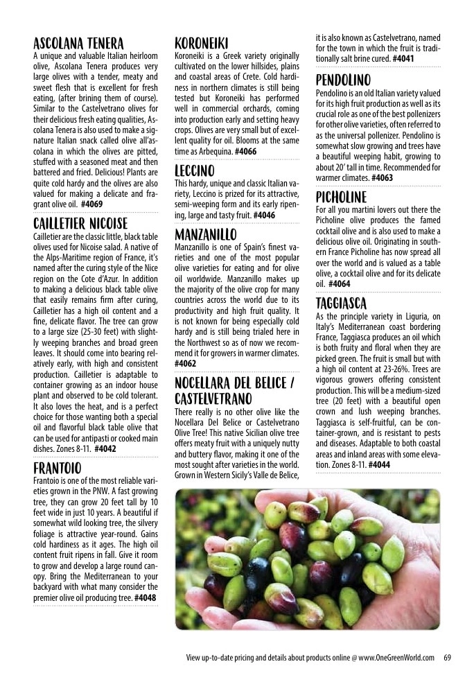 One Green World flyer page 71