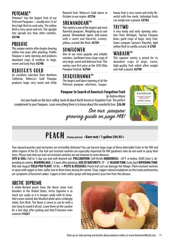 One Green World flyer page 73