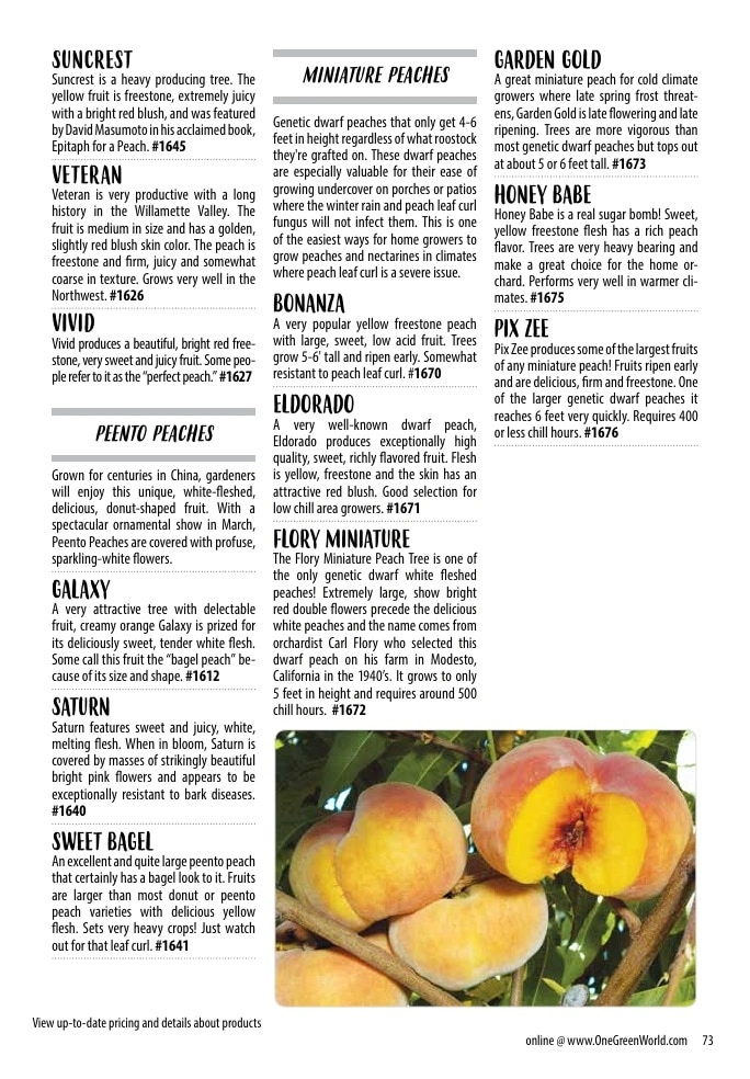 One Green World flyer page 75