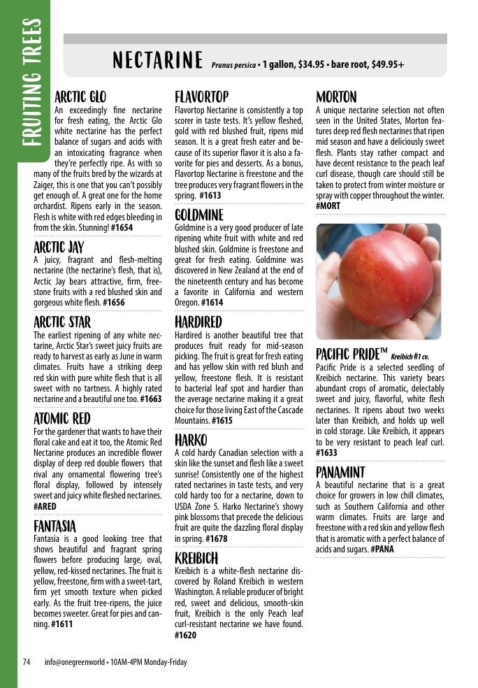 One Green World flyer page 76