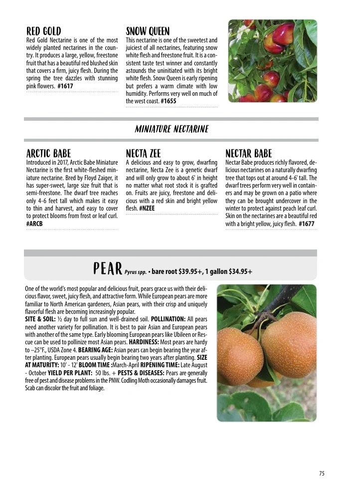 One Green World flyer page 77