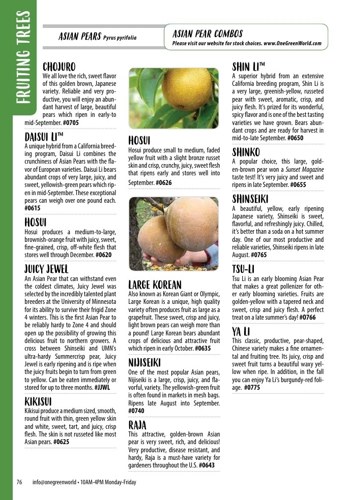 One Green World flyer page 78