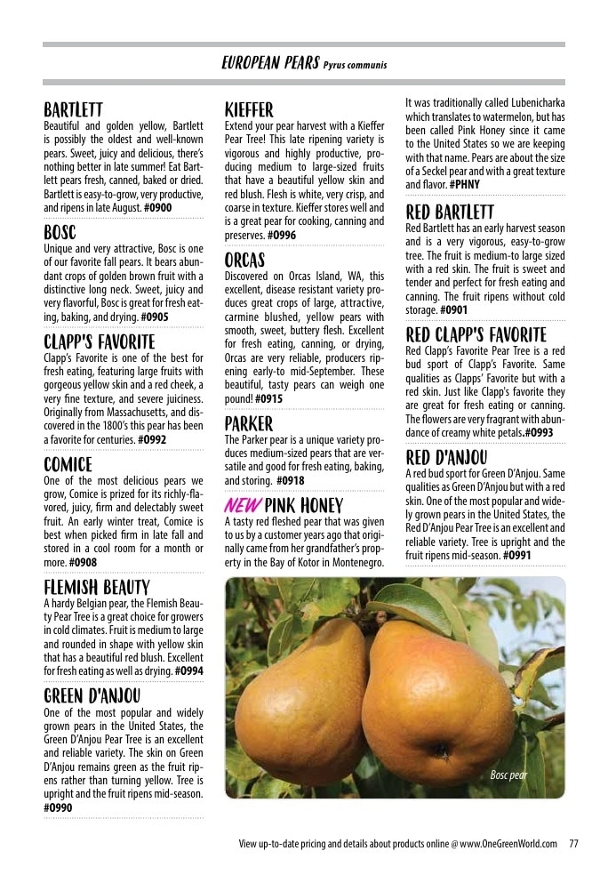 One Green World flyer page 79
