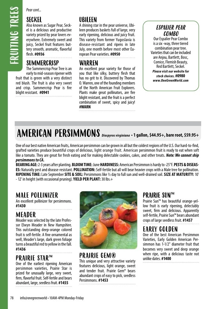 One Green World flyer page 80