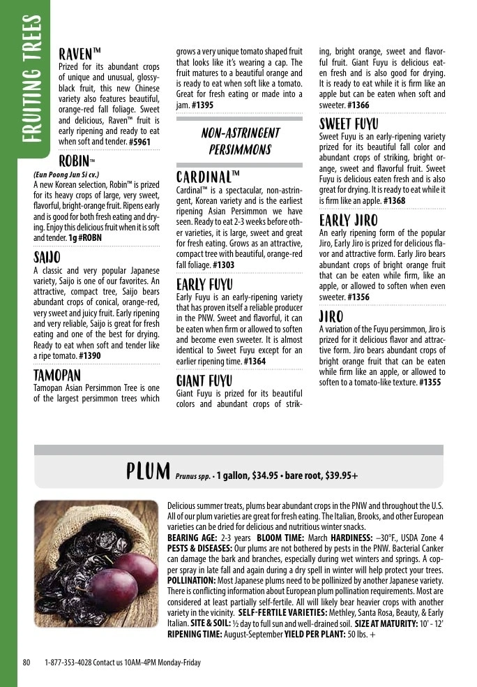 One Green World flyer page 82