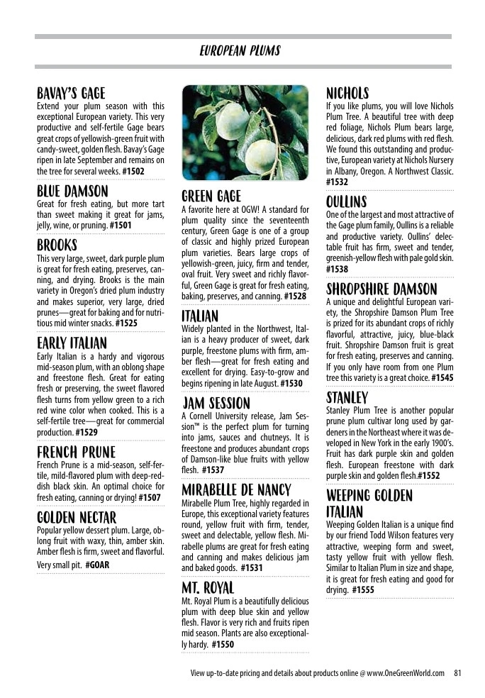 One Green World flyer page 83