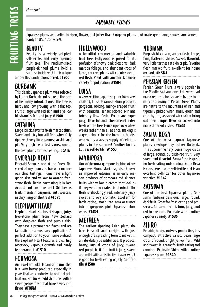 One Green World flyer page 84