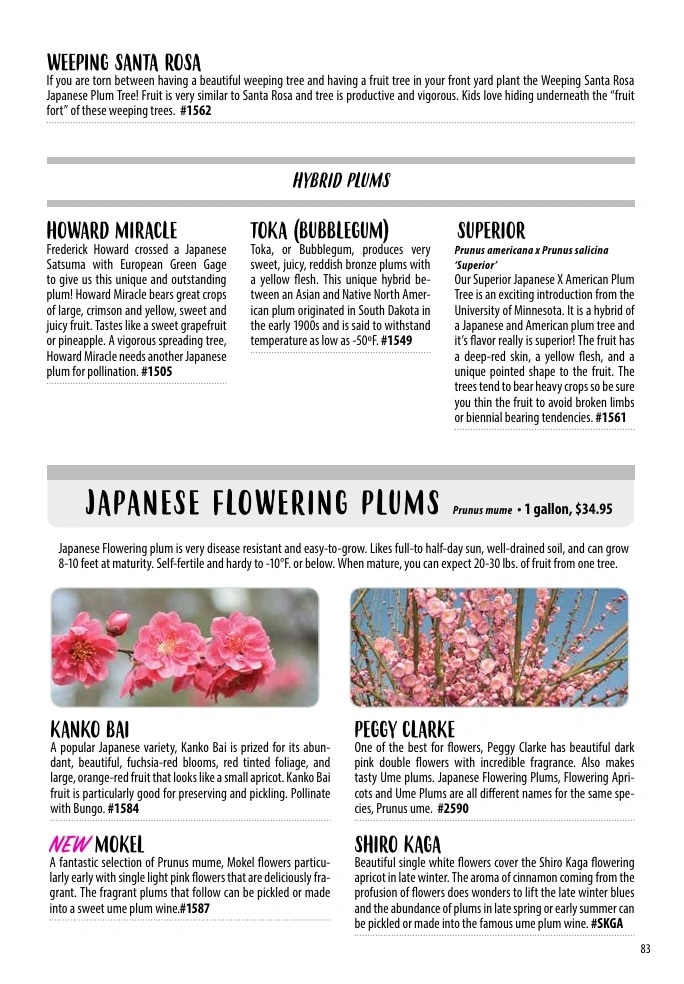 One Green World flyer page 85