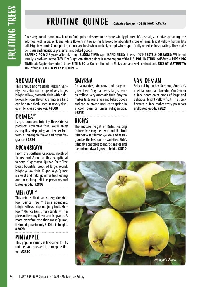 One Green World flyer page 86