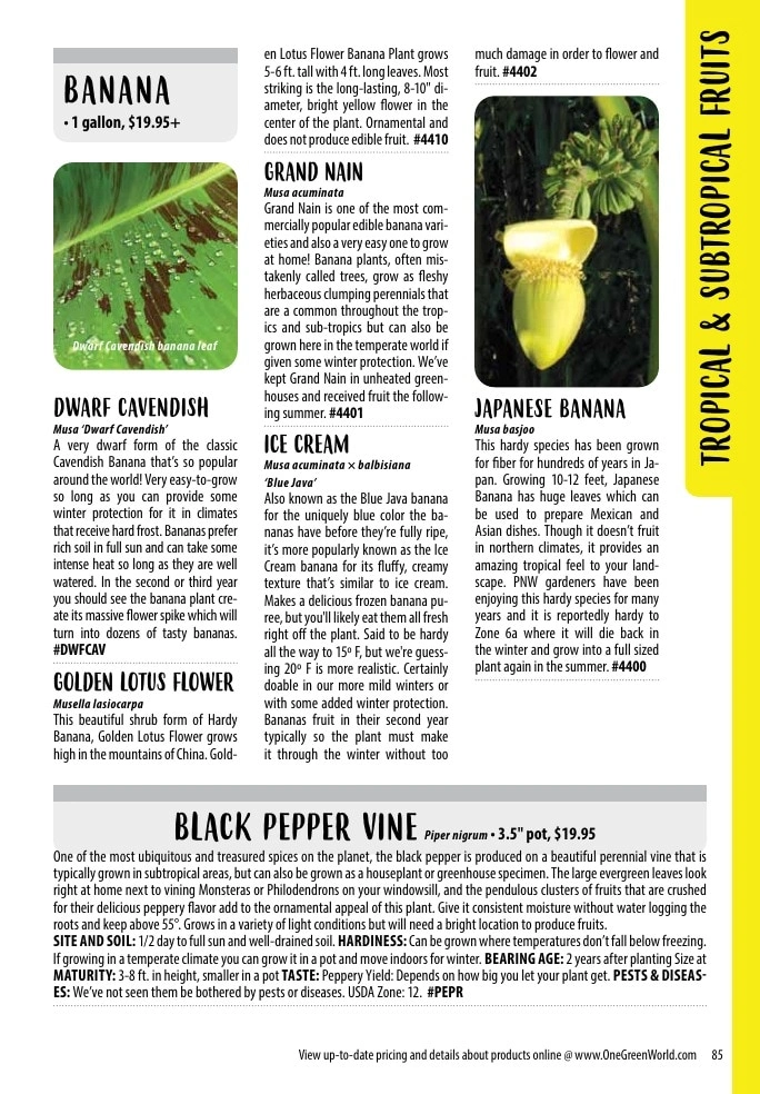 One Green World flyer page 87