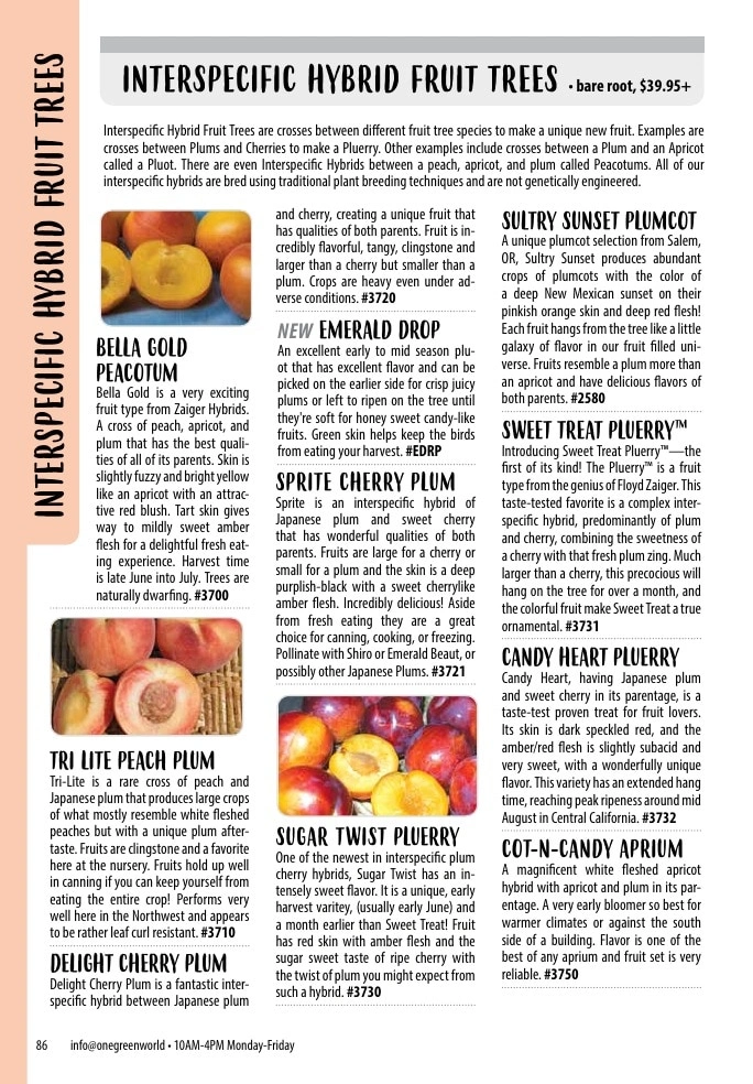 One Green World flyer page 88